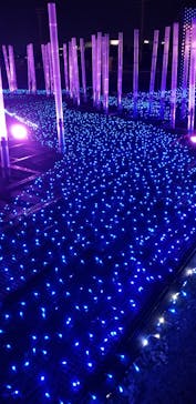 東京メガイルミに投稿された画像（2022/12/17）