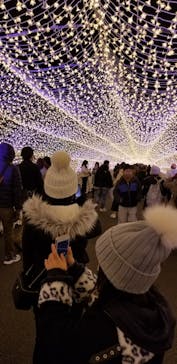 東京メガイルミに投稿された画像（2022/12/17）