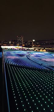 東京メガイルミに投稿された画像（2022/12/17）