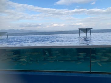 大分マリーンパレス水族館 「うみたまご」に投稿された画像（2022/12/17）