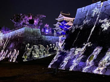 福山城400年博-FUKUYAMA CASTLE EXPO 2022- RCC開局70年 「チームラボ 福山城 光の祭」に投稿された画像（2022/12/17）