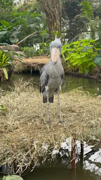 神戸どうぶつ王国に投稿された画像（2022/12/17）