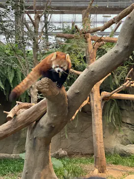 神戸どうぶつ王国に投稿された画像（2022/12/17）