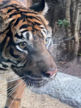 神戸どうぶつ王国に投稿された画像（2022/12/17）