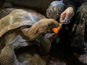 体感型動物園iZooに投稿された画像（2022/12/17）