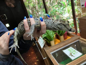 体感型動物園iZooに投稿された画像（2022/12/17）