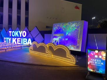 東京メガイルミに投稿された画像（2022/12/17）