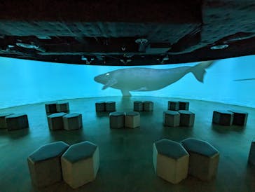 カワスイ 川崎⽔族館に投稿された画像（2022/12/17）