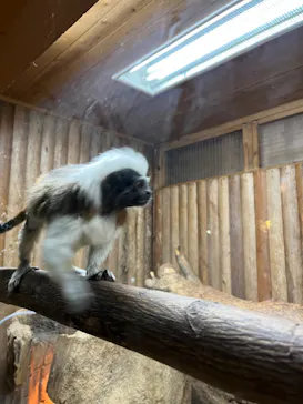 神戸どうぶつ王国に投稿された画像（2022/12/17）