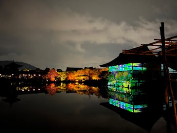 NAKEDヨルモウデ2022平安神宮に投稿された画像（2022/12/17）