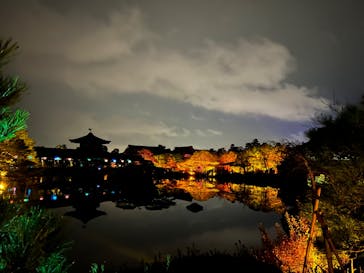 NAKEDヨルモウデ2022平安神宮に投稿された画像（2022/12/17）