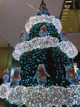 ハルカス300(展望台)に投稿された画像（2022/12/17）