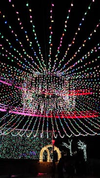 みろくの里に投稿された画像（2022/12/17）