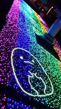 さがみ湖MORI MORIに投稿された画像（2022/12/17）