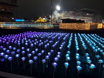 東京メガイルミに投稿された画像（2022/12/17）