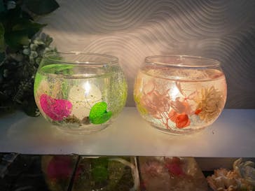 ずこうしつ〜sugamo〜に投稿された画像（2022/12/17）