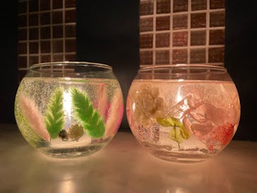 ずこうしつ〜sugamo〜に投稿された画像（2022/12/17）