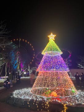 みろくの里に投稿された画像（2022/12/17）