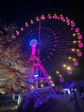 みろくの里に投稿された画像（2022/12/17）