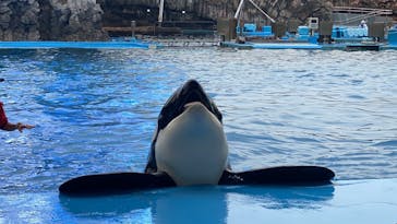 名古屋港水族館に投稿された画像（2022/12/17）