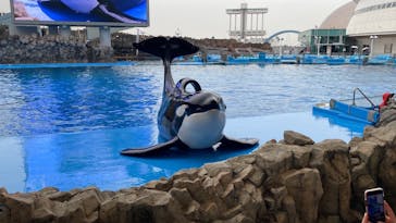 名古屋港水族館に投稿された画像（2022/12/17）