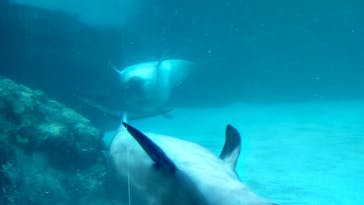 名古屋港水族館に投稿された画像（2022/12/18）