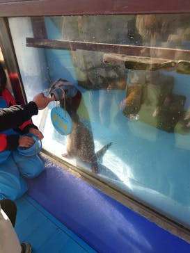 ゼロ距離水族館 伊勢シーパラダイスに投稿された画像（2022/12/18）