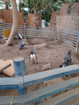 ゼロ距離水族館 伊勢シーパラダイスに投稿された画像（2022/12/18）