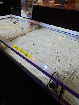 ゼロ距離水族館 伊勢シーパラダイスに投稿された画像（2022/12/18）