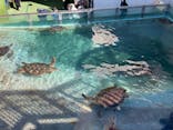 新江ノ島水族館に投稿された画像（2022/12/18）