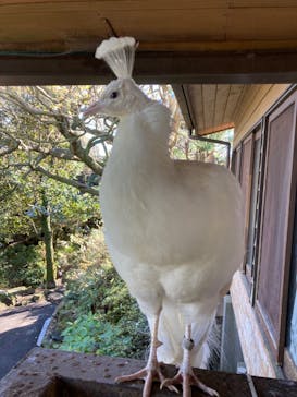 伊豆シャボテン動物公園に投稿された画像（2022/12/18）