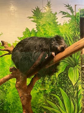 伊豆シャボテン動物公園に投稿された画像（2022/12/18）