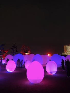 福山城400年博-FUKUYAMA CASTLE EXPO 2022- RCC開局70年 「チームラボ 福山城 光の祭」に投稿された画像（2022/12/18）