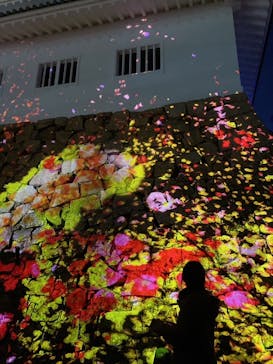 福山城400年博-FUKUYAMA CASTLE EXPO 2022- RCC開局70年 「チームラボ 福山城 光の祭」に投稿された画像（2022/12/18）