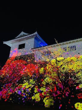 福山城400年博-FUKUYAMA CASTLE EXPO 2022- RCC開局70年 「チームラボ 福山城 光の祭」に投稿された画像（2022/12/18）