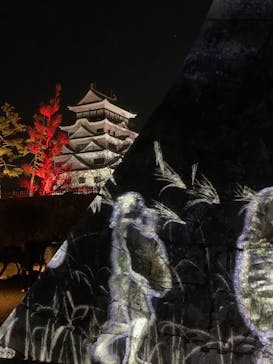福山城400年博-FUKUYAMA CASTLE EXPO 2022- RCC開局70年 「チームラボ 福山城 光の祭」に投稿された画像（2022/12/18）