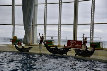 アクアワールド茨城県大洗水族館に投稿された画像（2022/12/18）