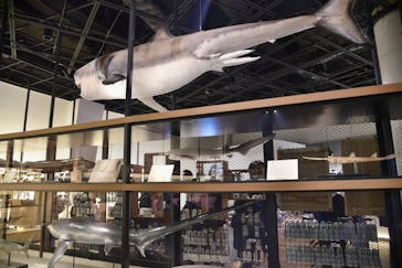 アクアワールド茨城県大洗水族館に投稿された画像（2022/12/18）