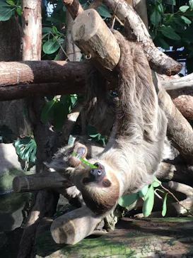 神戸どうぶつ王国に投稿された画像（2022/12/18）