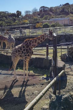 伊豆アニマルキングダムに投稿された画像（2022/12/18）