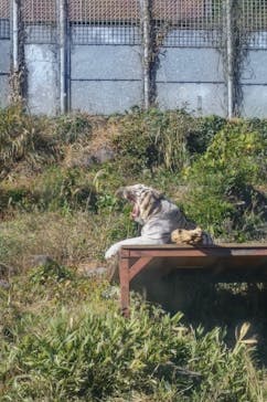 伊豆アニマルキングダムに投稿された画像（2022/12/18）