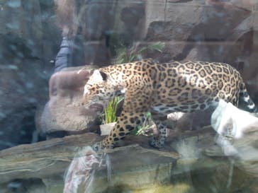 那須どうぶつ王国に投稿された画像（2022/12/18）