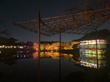 NAKEDヨルモウデ2022平安神宮に投稿された画像（2022/12/18）