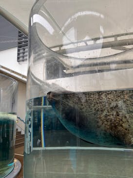 京都水族館に投稿された画像（2022/12/18）