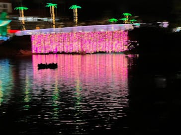 美らヤシパークオキナワ・東南植物楽園に投稿された画像（2022/12/18）