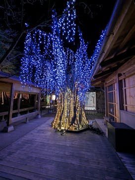 日本庭園　由志園に投稿された画像（2022/12/18）