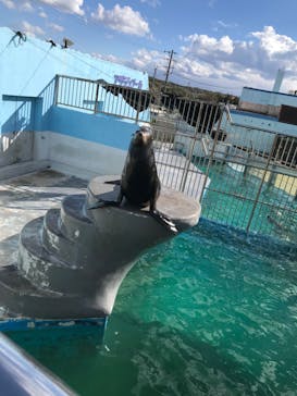 南知多ビーチランド＆南知多おもちゃ王国に投稿された画像（2022/12/18）