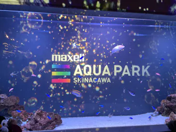 マクセル アクアパーク品川に投稿された画像（2022/12/18）