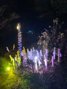 ムーミンバレーパークに投稿された画像（2022/12/18）