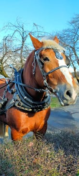 伊香保グリーン牧場に投稿された画像（2022/12/18）